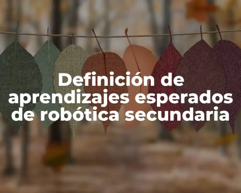 Definición de aprendizajes esperados de robótica secundaria