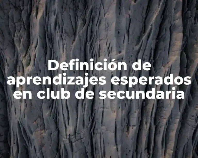 Definición de aprendizajes esperados en club de secundaria