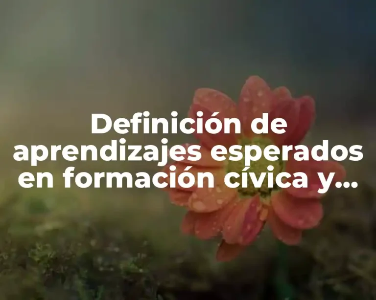Definición de aprendizajes esperados en formación cívica y ética secundaria