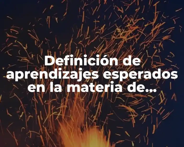 Definición de aprendizajes esperados en la materia de sociología.