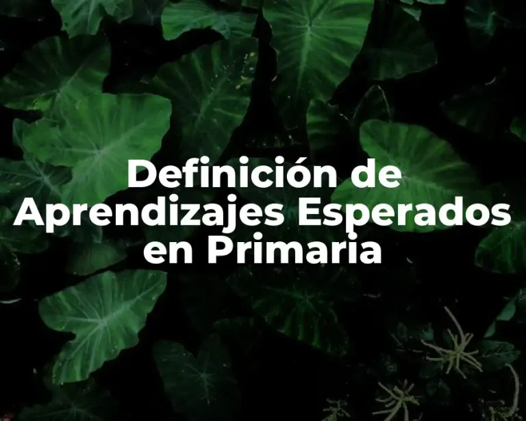 Definición de Aprendizajes Esperados en Primaria