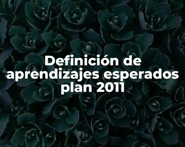 Definición de aprendizajes esperados plan 2011