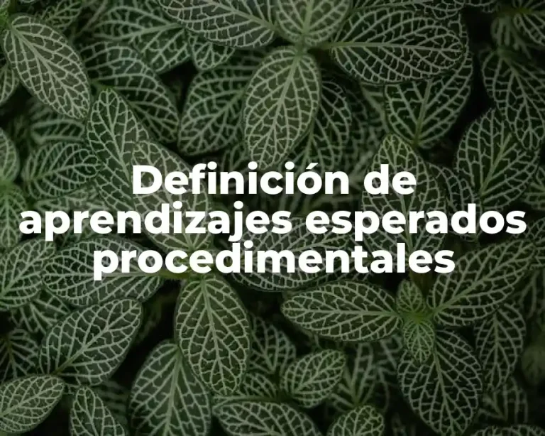 Definición de aprendizajes esperados procedimentales