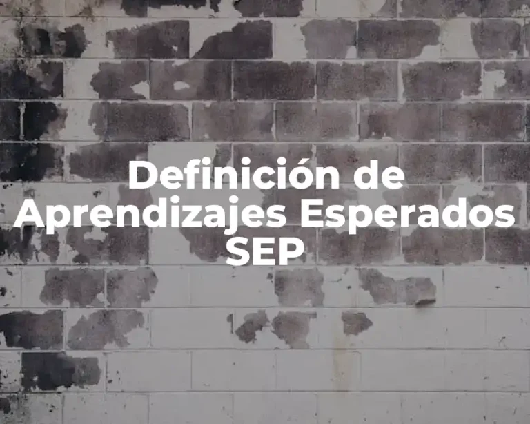 Definición de Aprendizajes Esperados SEP