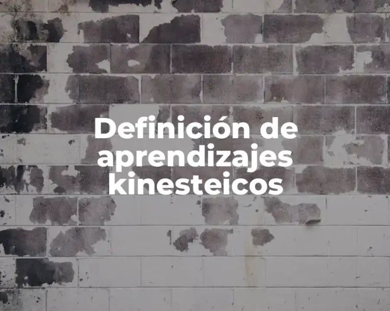 Definición de aprendizajes kinesteicos