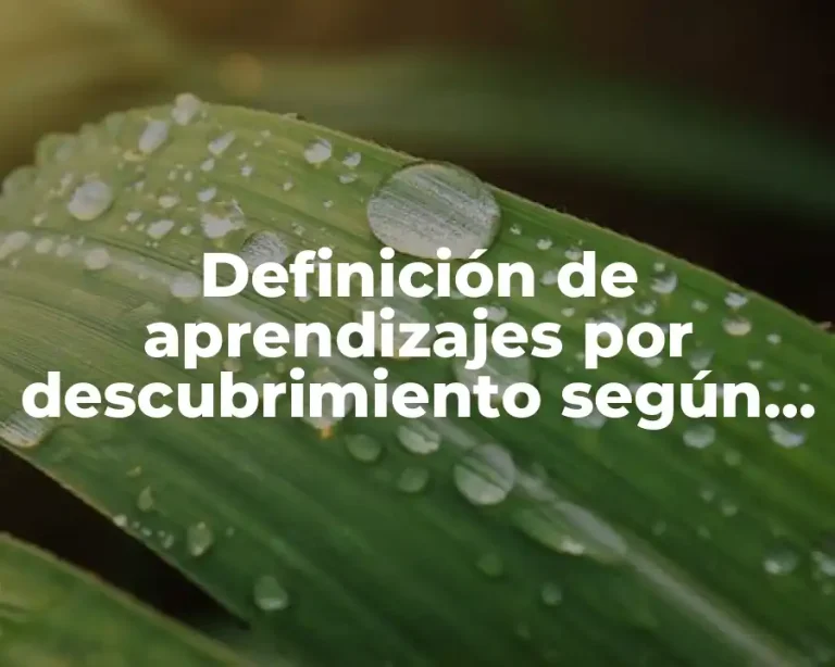 Definición de aprendizajes por descubrimiento según Ausubel