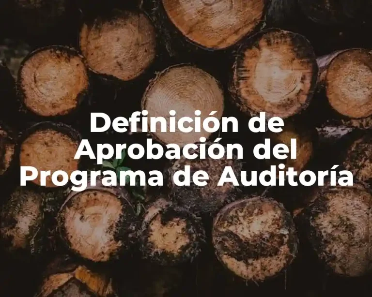 Definición de Aprobación del Programa de Auditoría