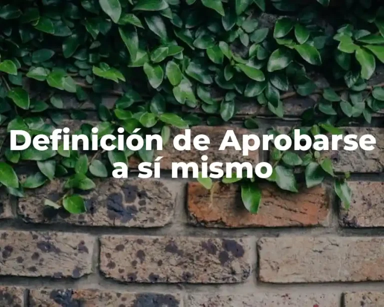 Definición de Aprobarse a sí mismo