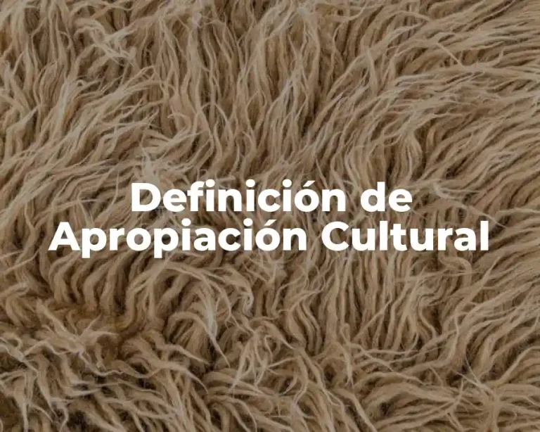 Definición de Apropiación Cultural
