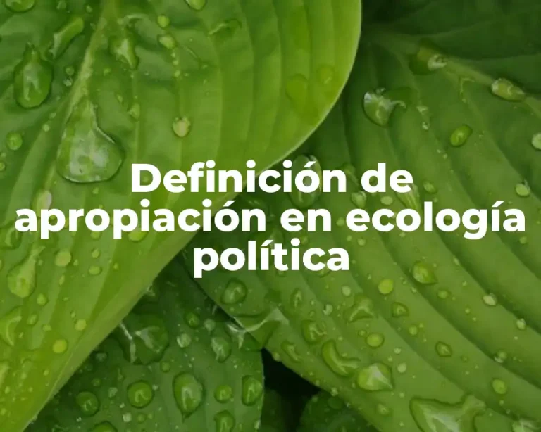 Definición de apropiación en ecología política
