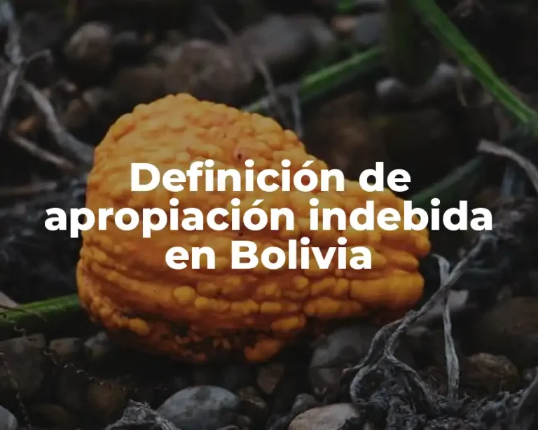 Definición de apropiación indebida en Bolivia