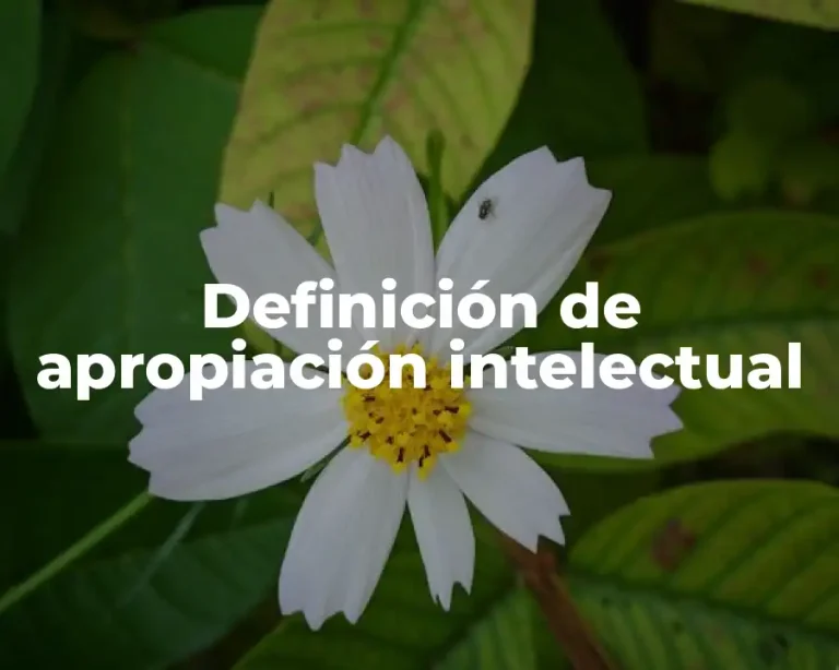 Definición de apropiación intelectual