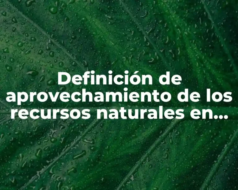 Definición de aprovechamiento de los recursos naturales en México
