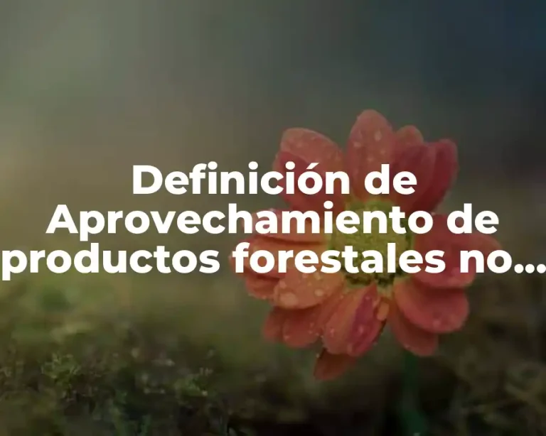 Definición de Aprovechamiento de productos forestales no maderables