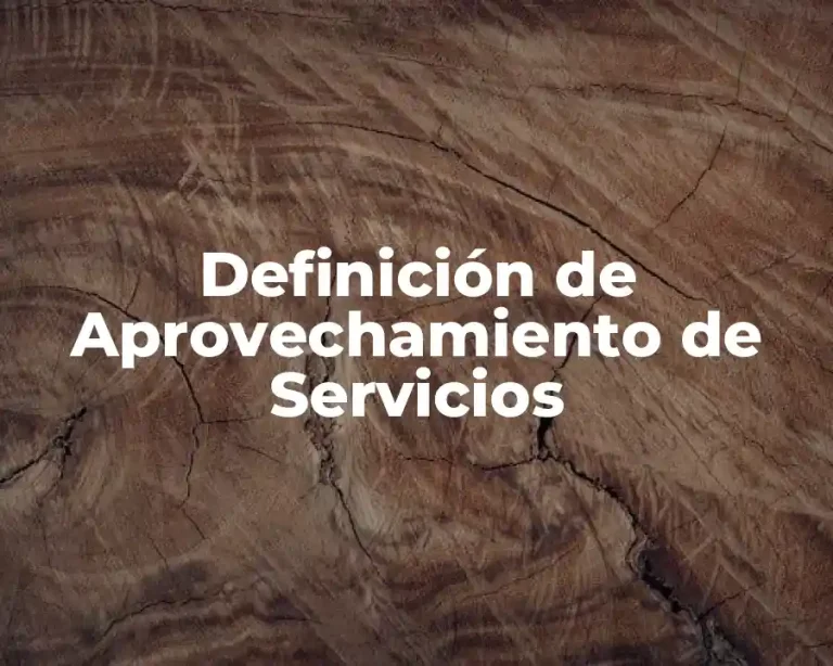 Definición de Aprovechamiento de Servicios
