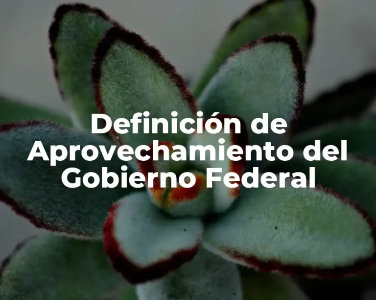 Definición de Aprovechamiento del Gobierno Federal