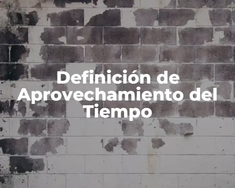 Definición de Aprovechamiento del Tiempo