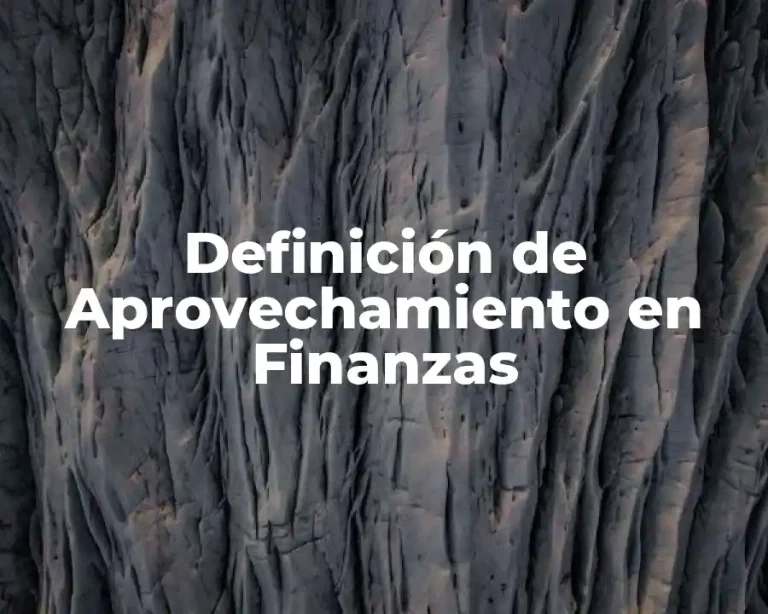 Definición de Aprovechamiento en Finanzas