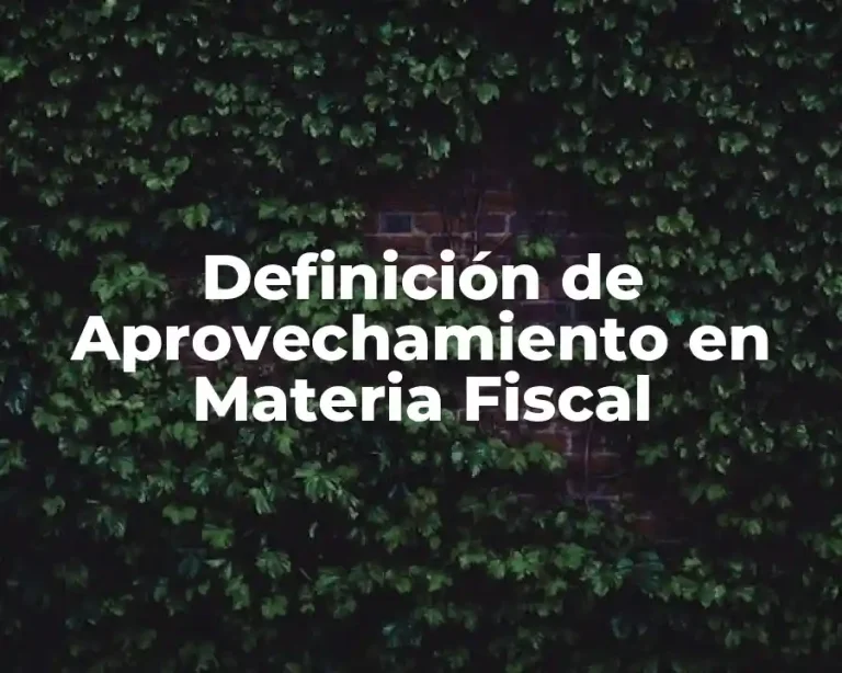 Definición de Aprovechamiento en Materia Fiscal