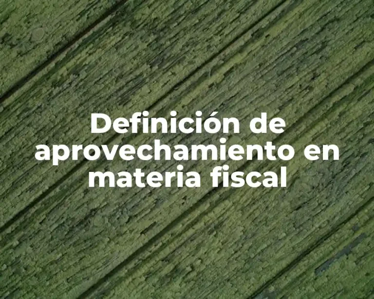 Definición de aprovechamiento en materia fiscal