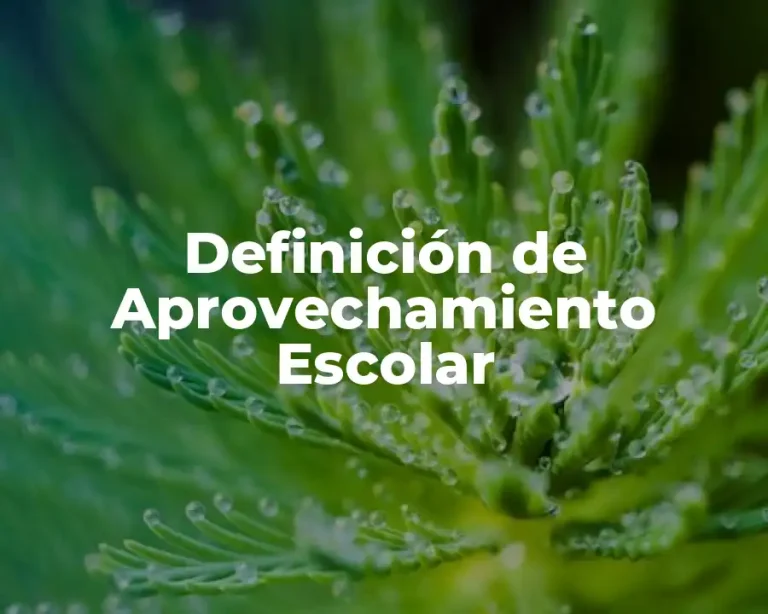 Definición de Aprovechamiento Escolar