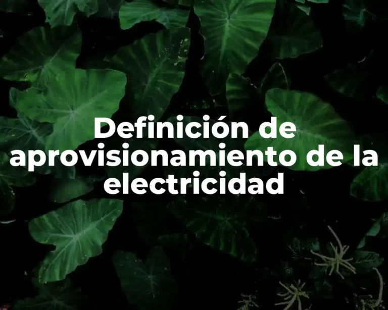 Definición de aprovisionamiento de la electricidad