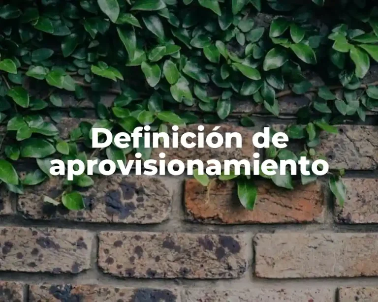 Definición de aprovisionamiento