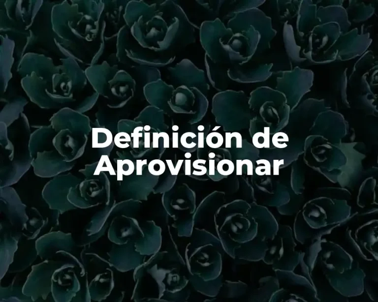 Definición de Aprovisionar