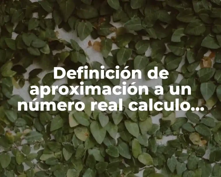 Definición de aproximación a un número real calculo integral