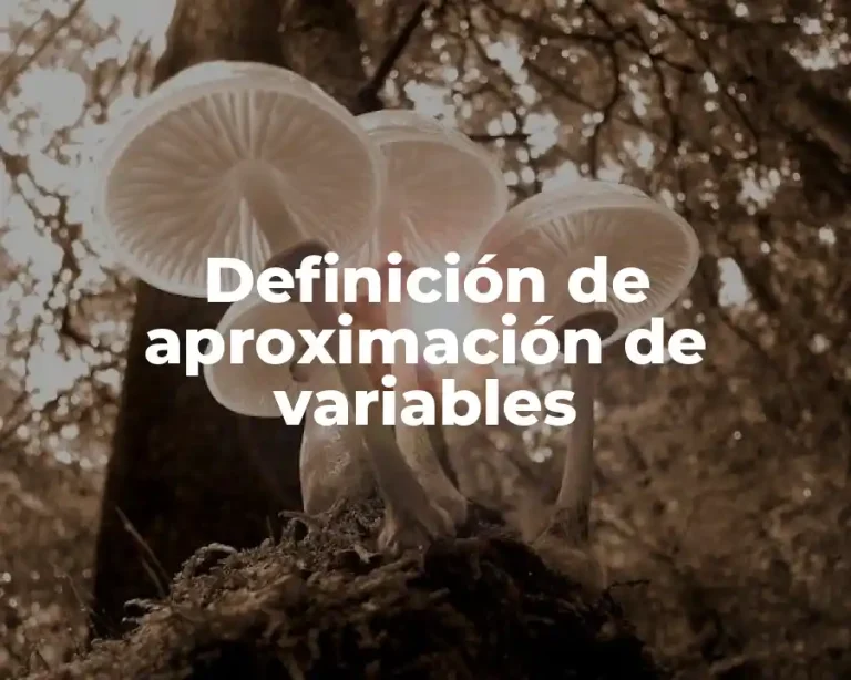 Definición de aproximación de variables