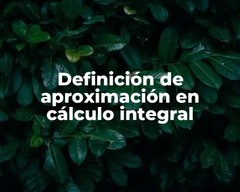 Definición de aproximación en cálculo integral