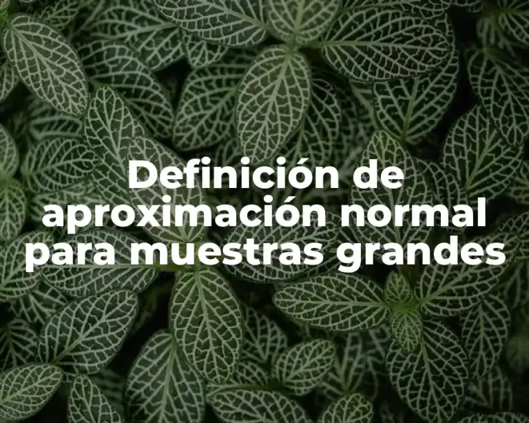 Definición de aproximación normal para muestras grandes