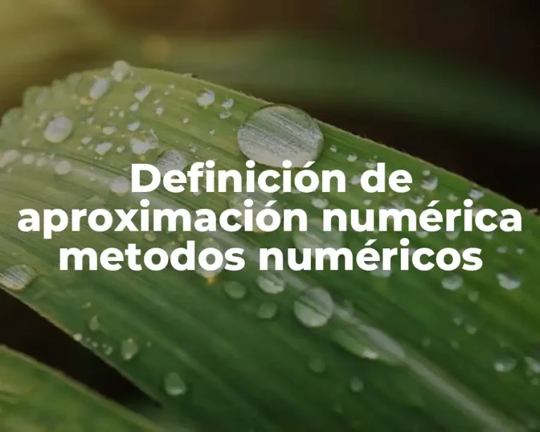 Definición de aproximación numérica metodos numéricos