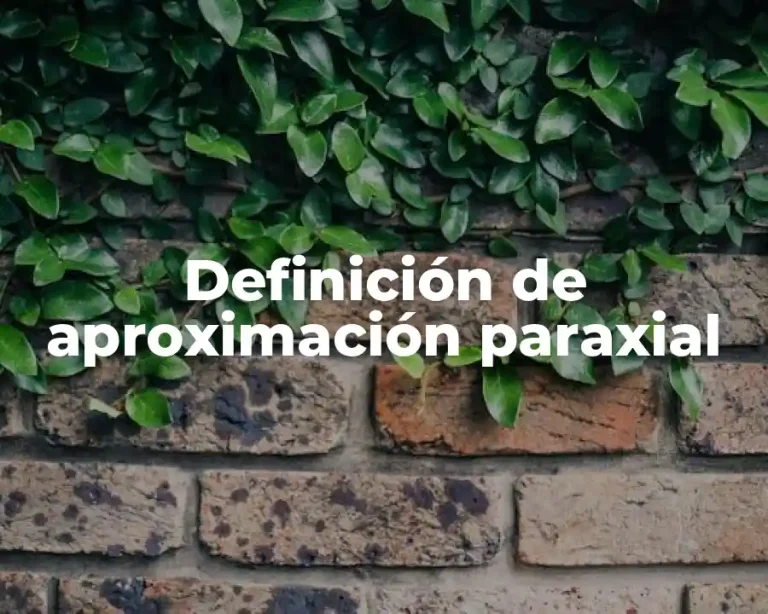 Definición de aproximación paraxial