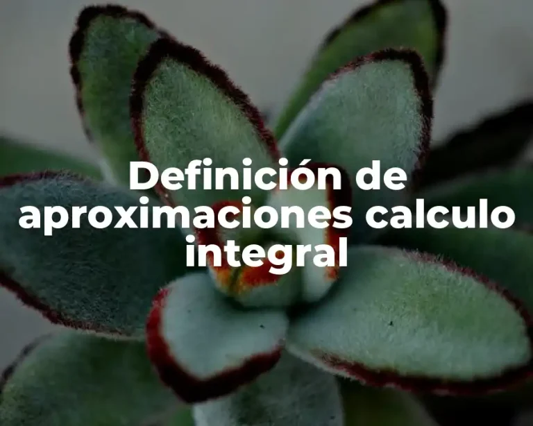 Definición de aproximaciones calculo integral
