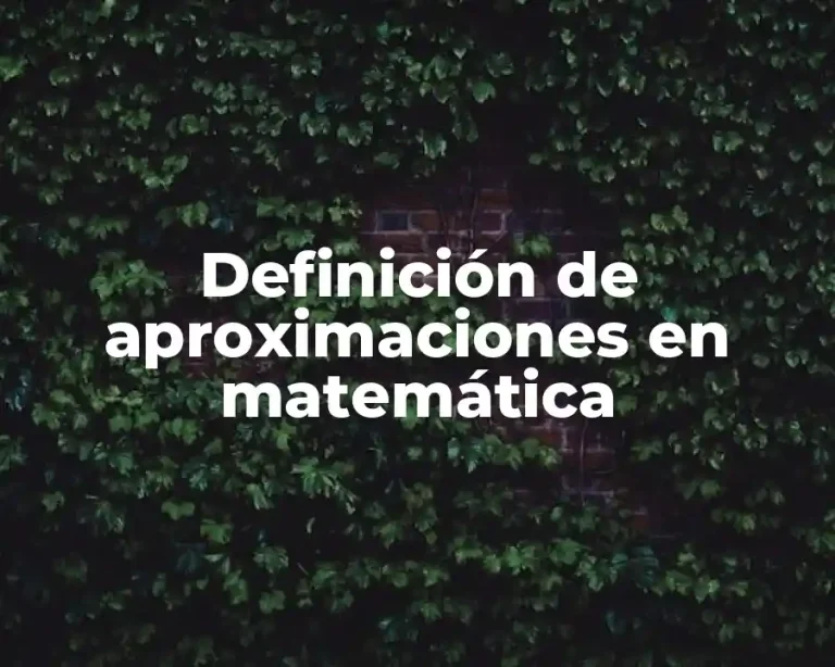 Definición de aproximaciones en matemática