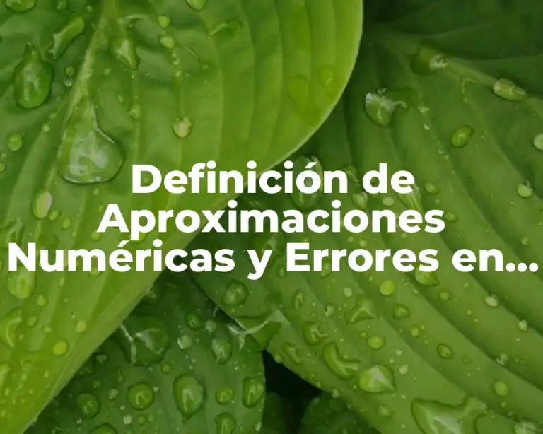 Definición de Aproximaciones Numéricas y Errores en la Vida Profesional