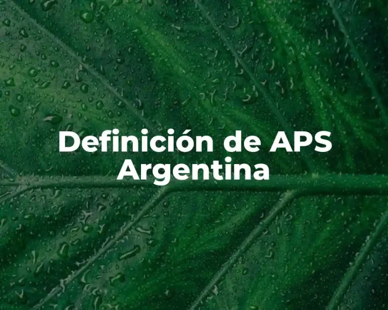 Definición de APS Argentina