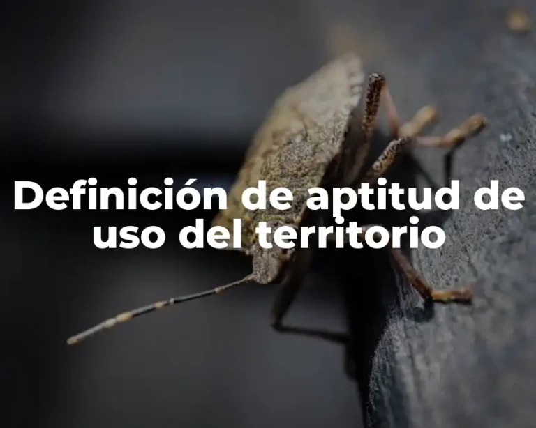 Definición de aptitud de uso del territorio