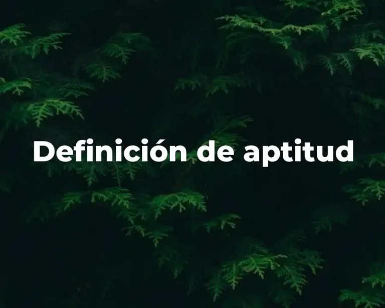 Definición de aptitud
