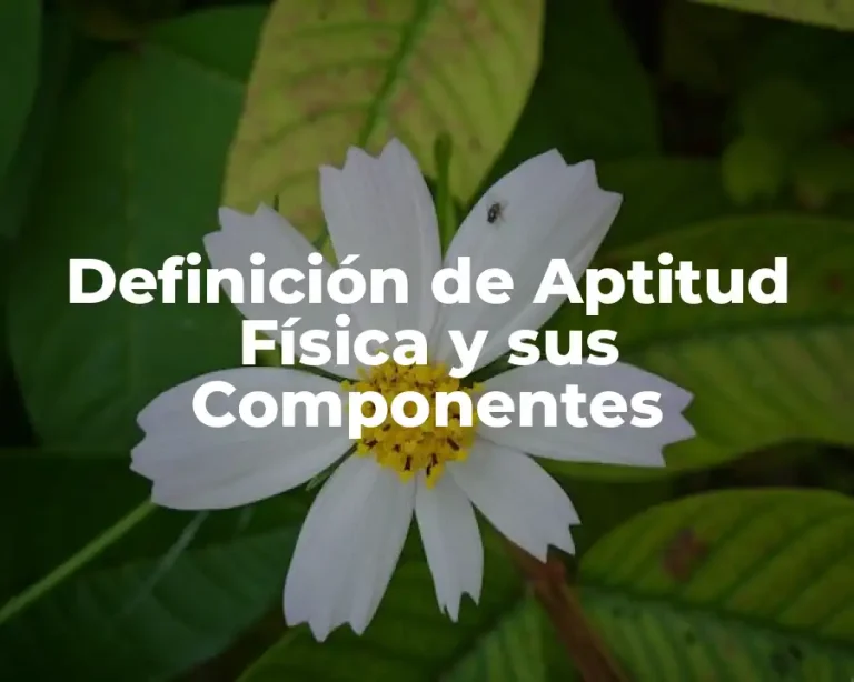 Definición de Aptitud Física y sus Componentes