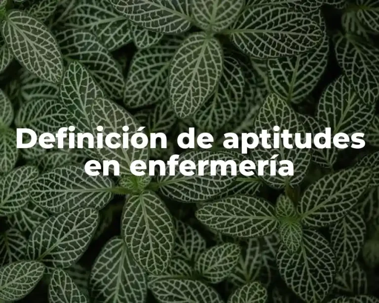 Definición de aptitudes en enfermería