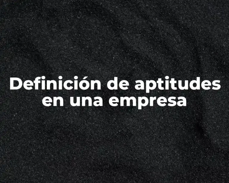 Definición de aptitudes en una empresa
