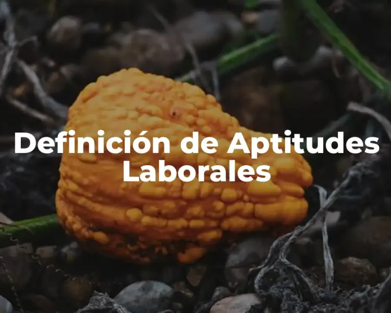 Definición de Aptitudes Laborales