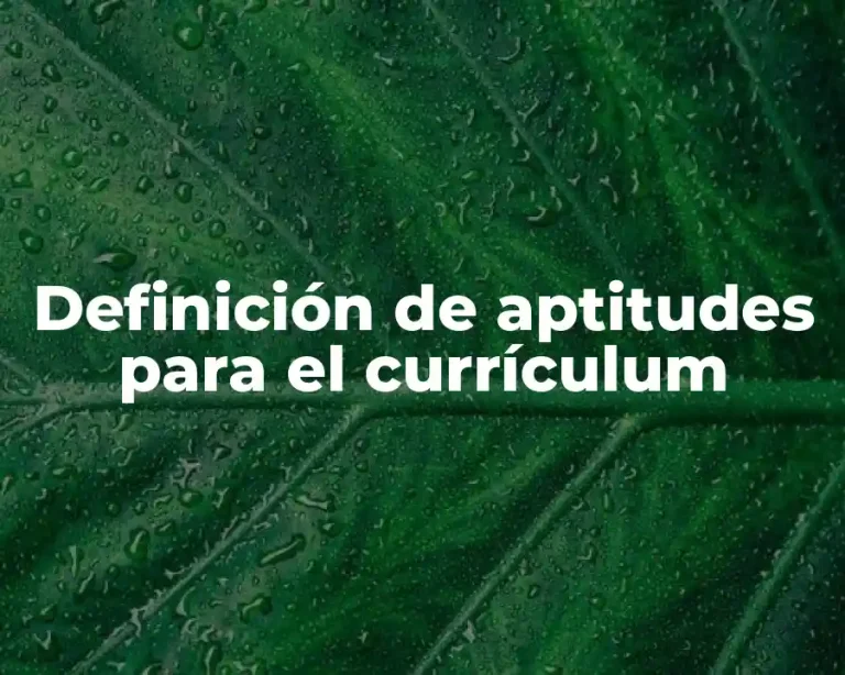 Definición de aptitudes para el currículum