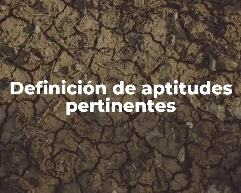 Definición de aptitudes pertinentes