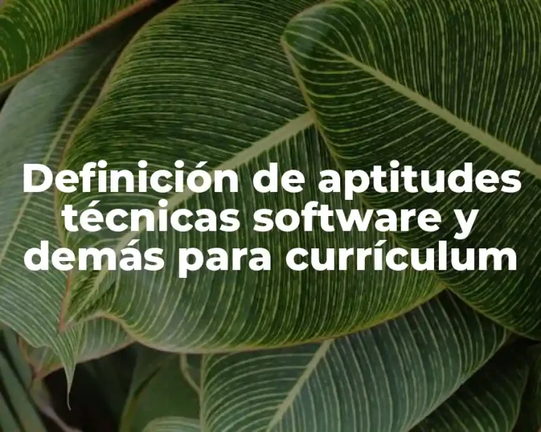 Definición de aptitudes técnicas software y demás para currículum