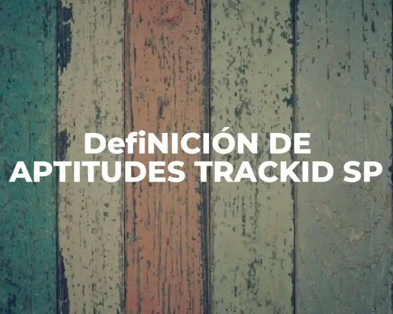 DefiNICIÓN DE APTITUDES TRACKID SP