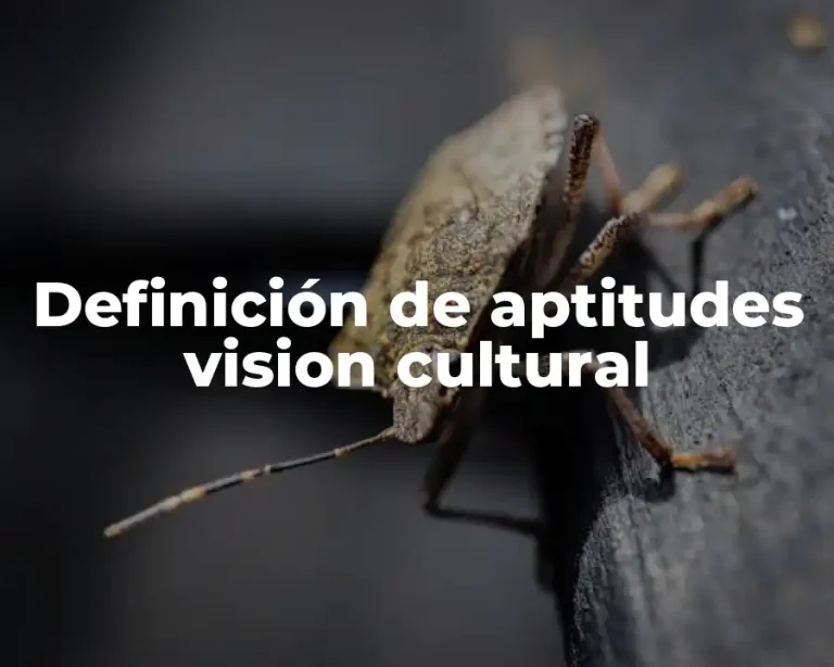 Definición de aptitudes vision cultural