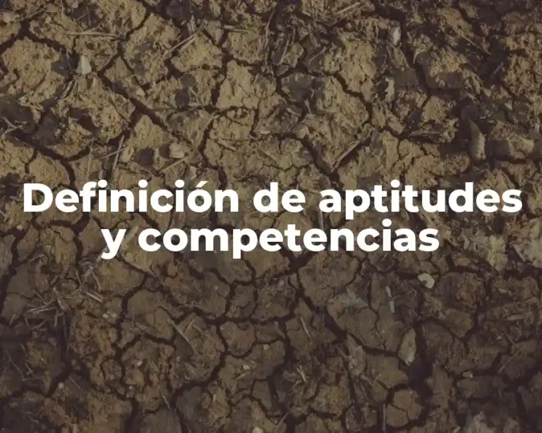Definición de aptitudes y competencias
